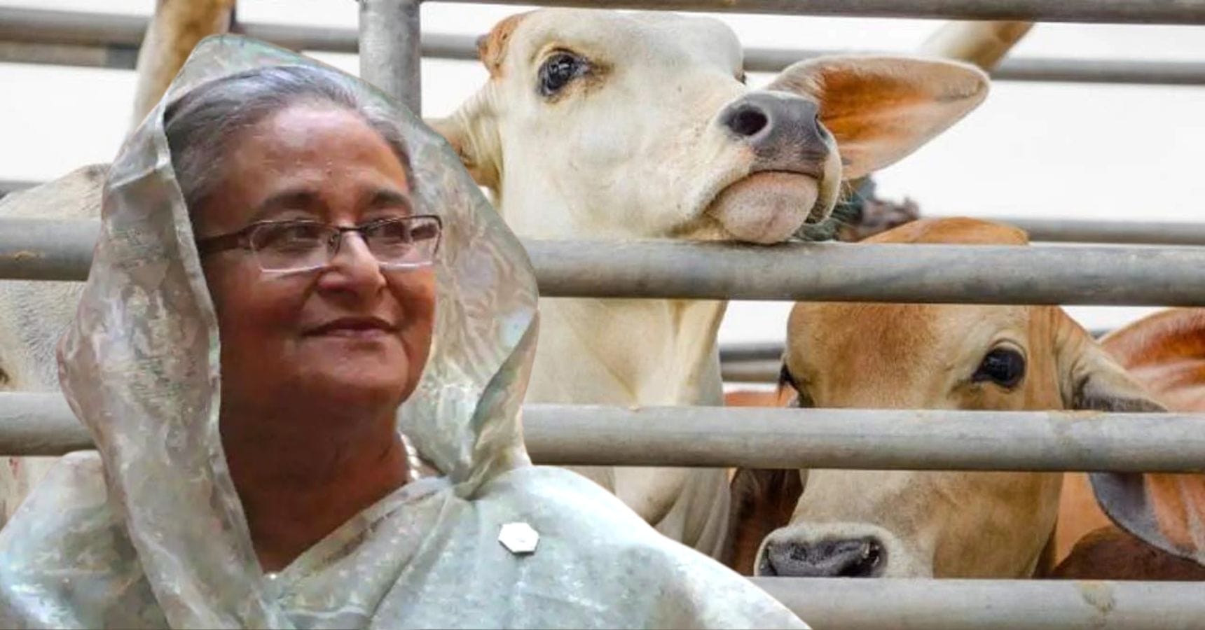 Sheikh hasina
