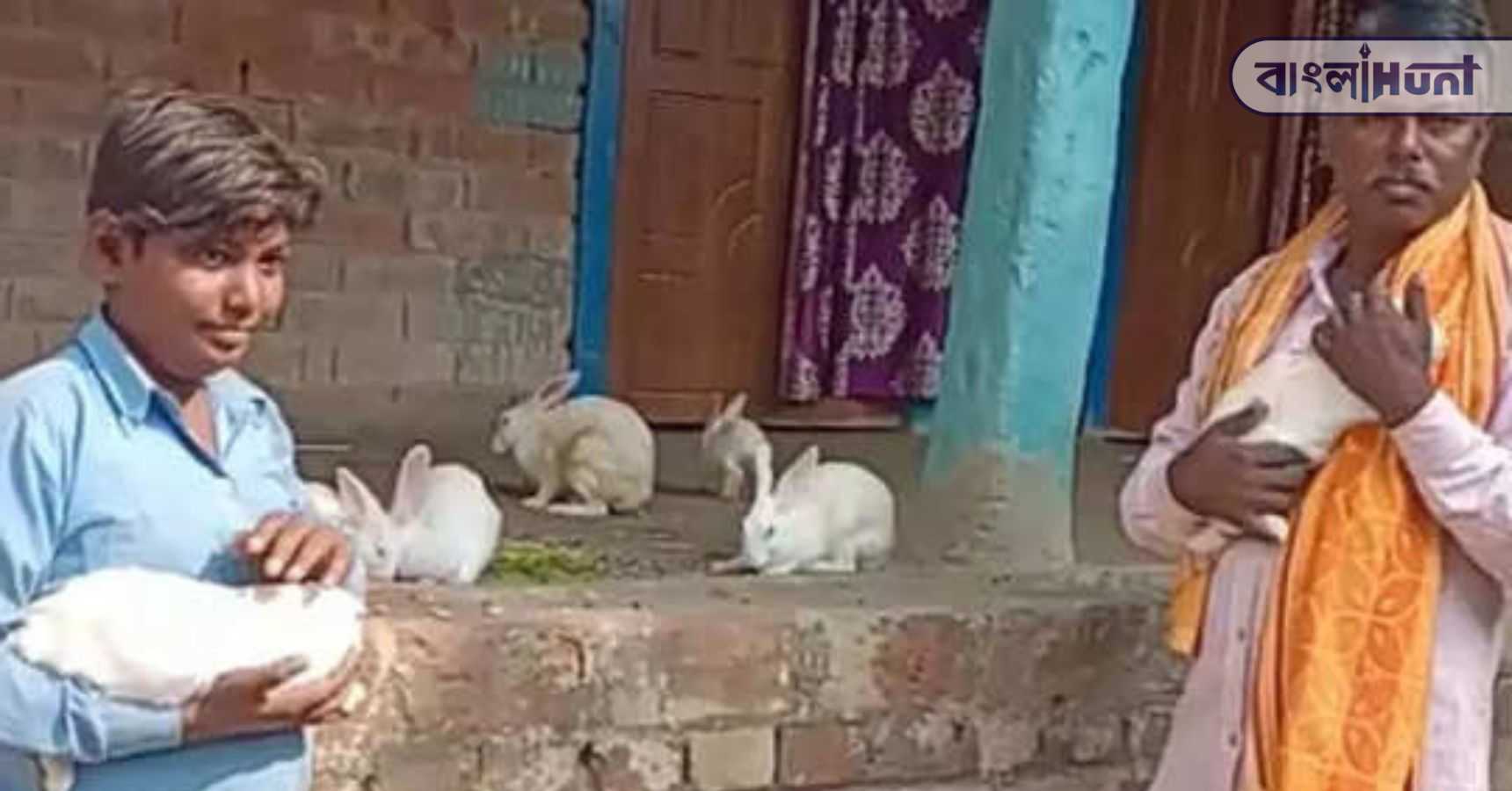 Sitaram rabbit