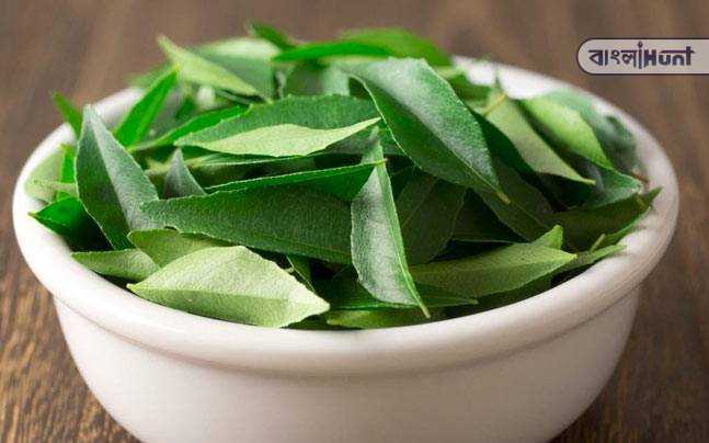 neem leaves