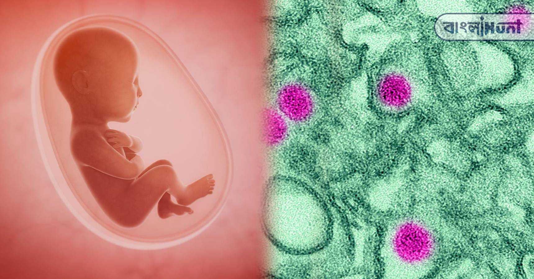 zika virus india