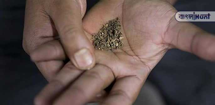 gutkha tax increase