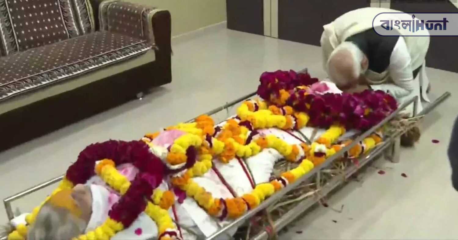 pm modis mother