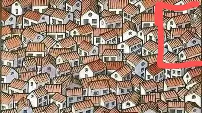 Optical Illusion