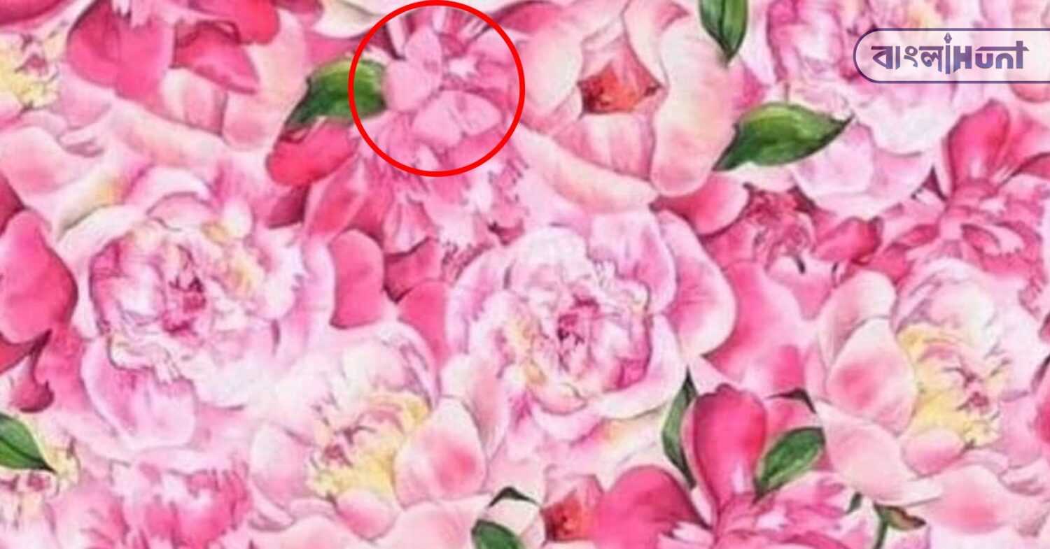 optical illusion solve (8)