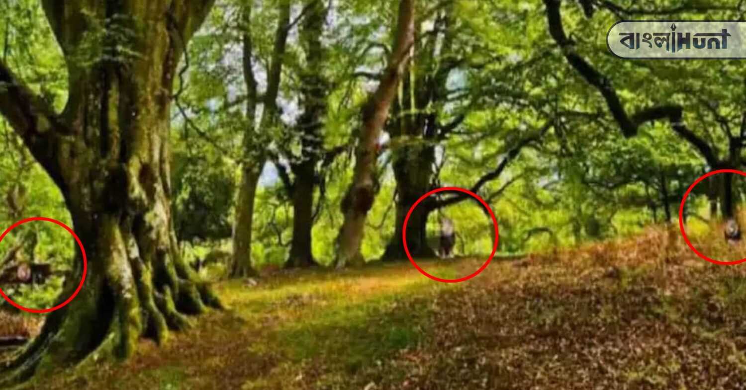 optical illusion solve (2)