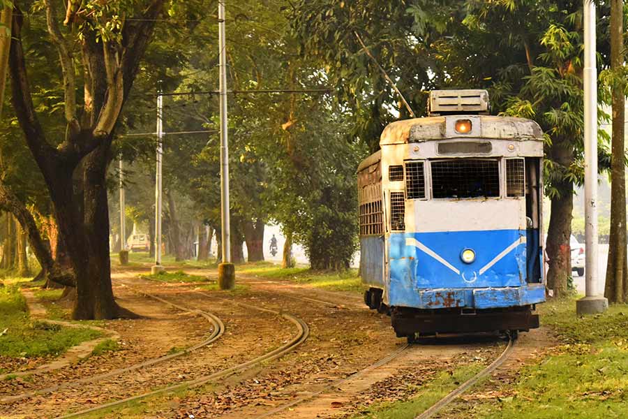 Tram