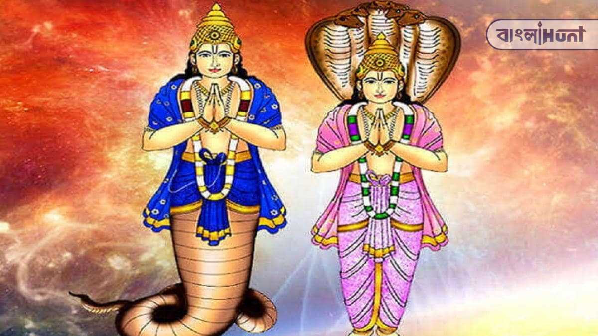 rahu ketu
