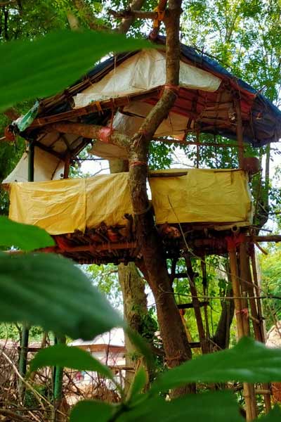 tree house (1)