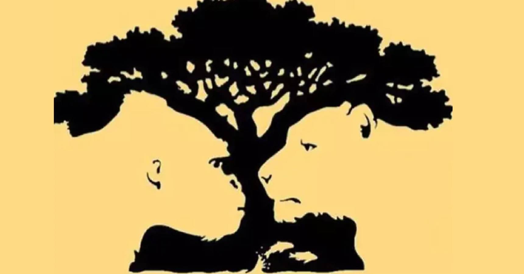 optical illusion