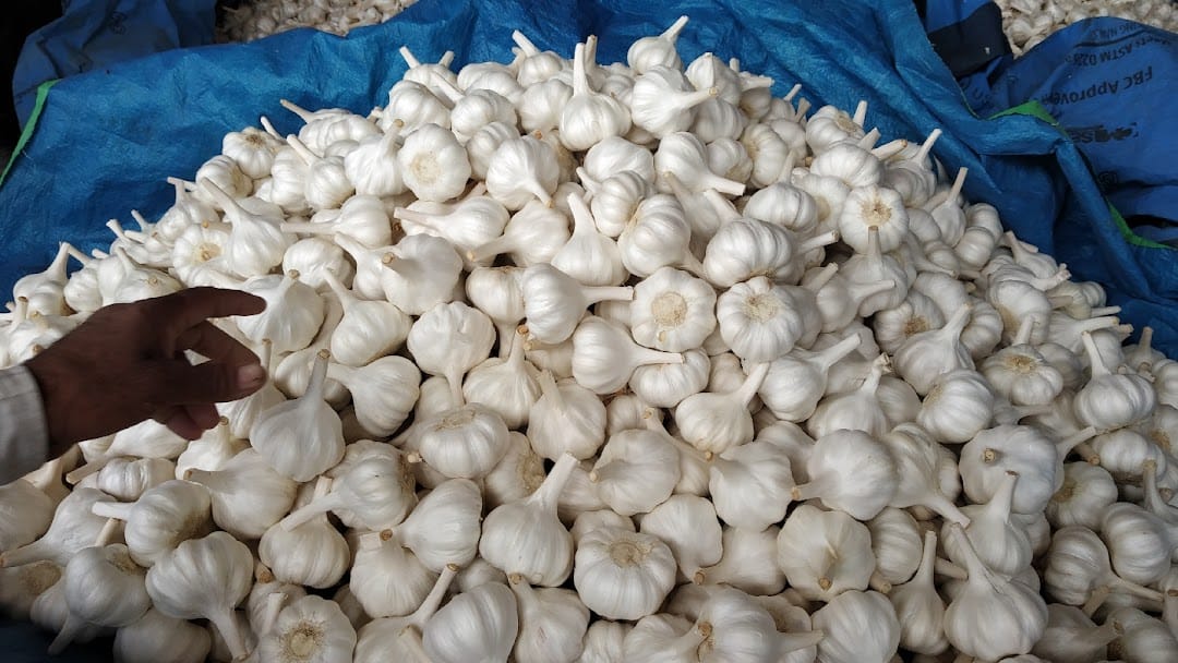 Forget about job and start this profitable farming today