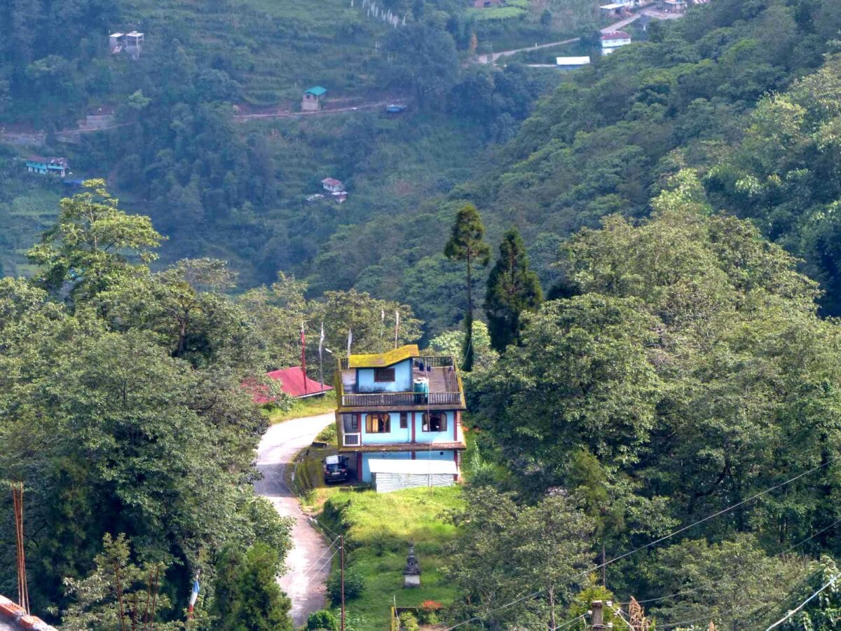 Palmajua