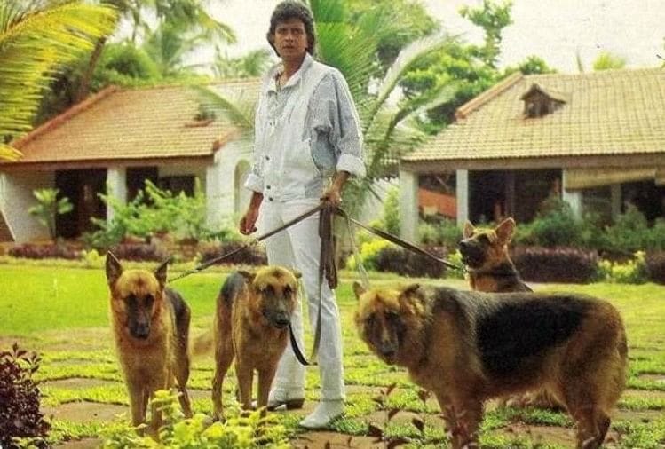 mithun