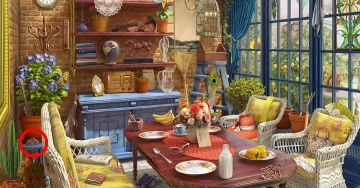 optical illusion solve (48)