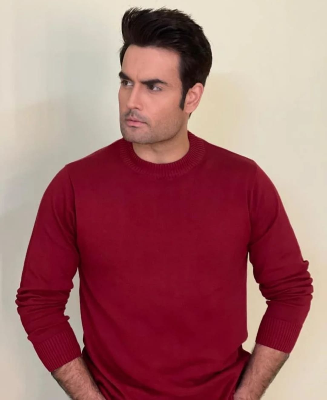 vivian dsena