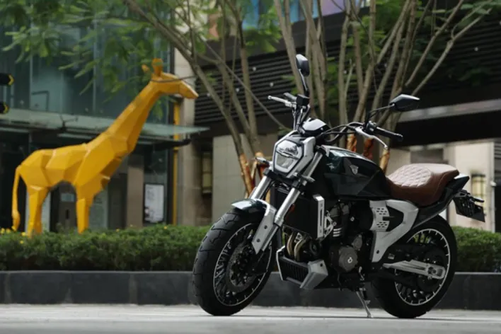 tvs zeppelin r