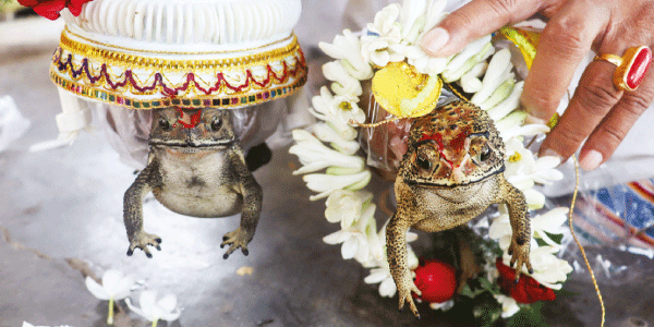 Fog Marriage