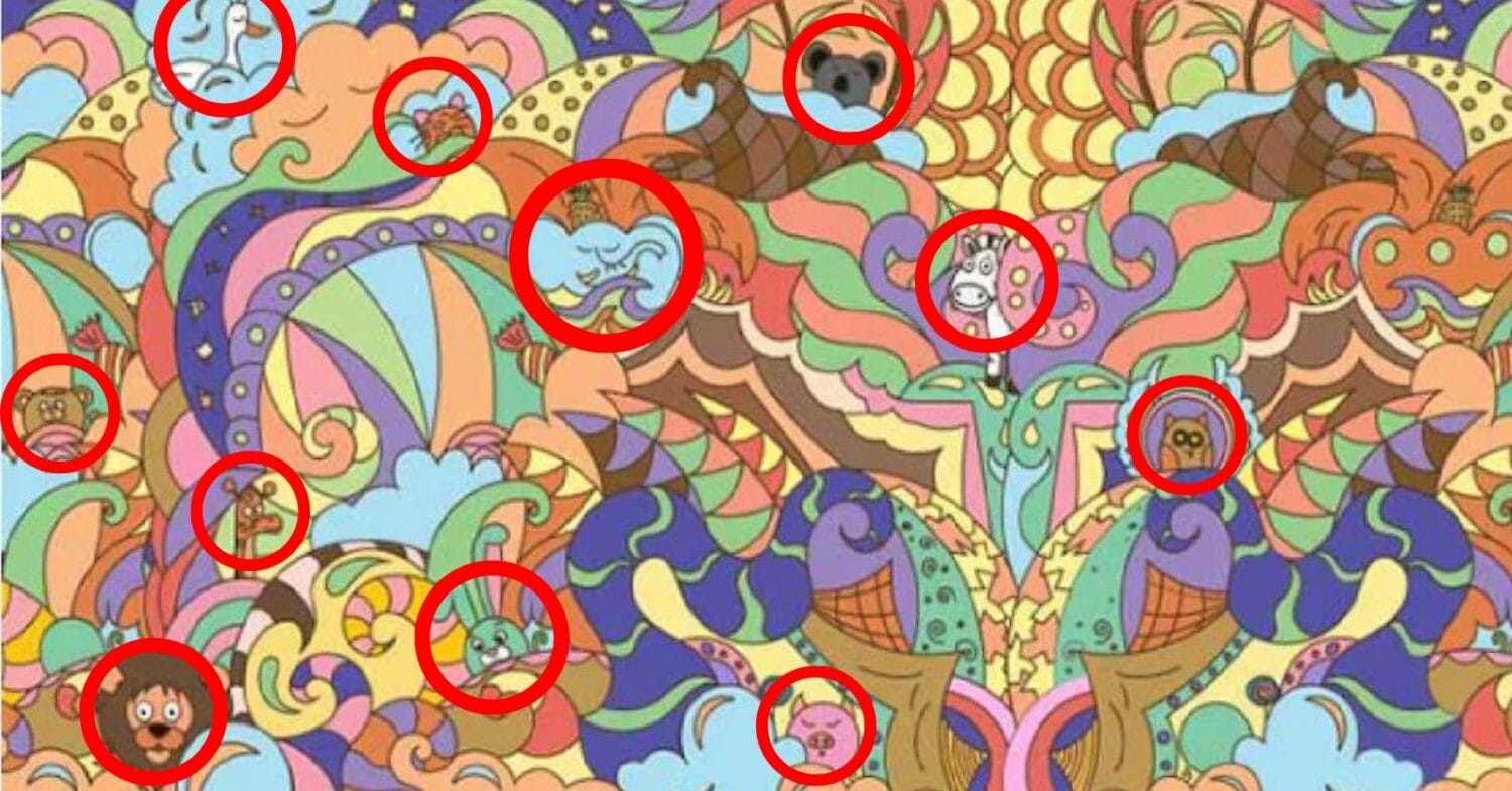 optical illusion solve (55)