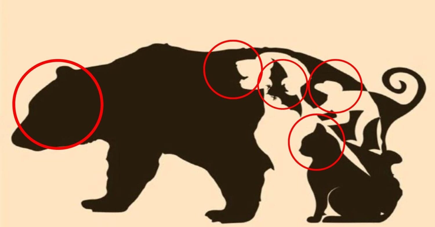 optical illusion solve (56)