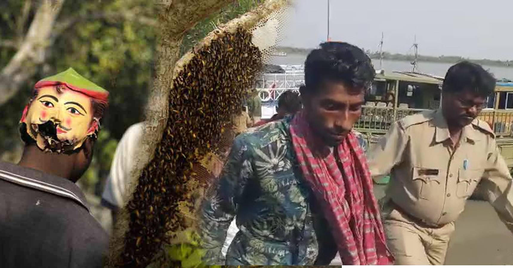 pirates of sundarban