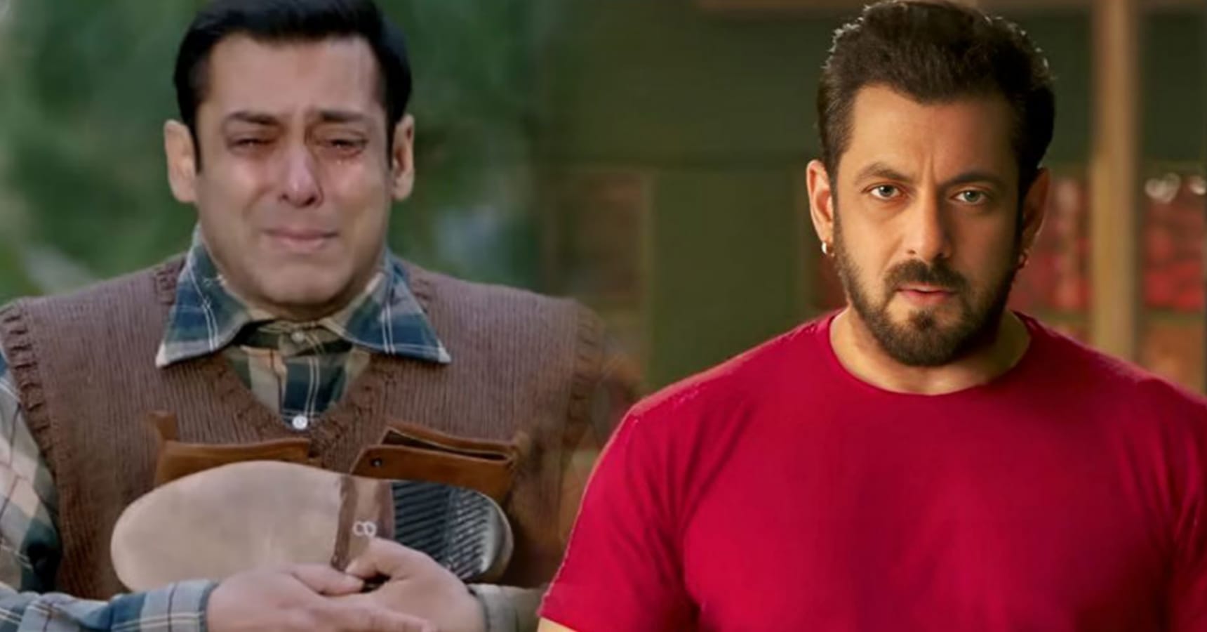 salman box office
