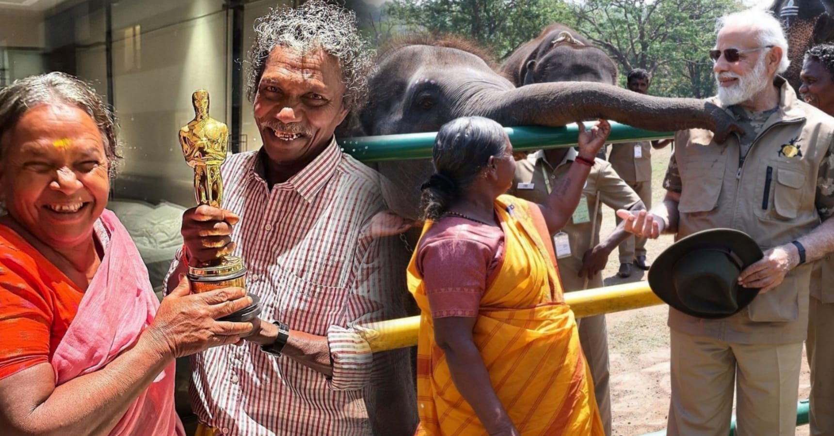 the elephant whisperers