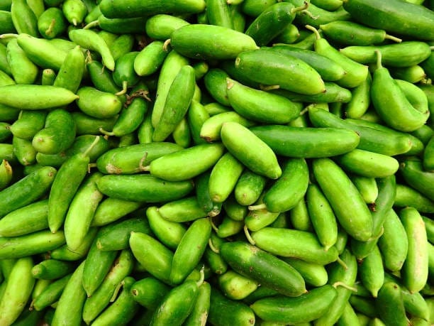 If you start this cultivation, you will become profitable