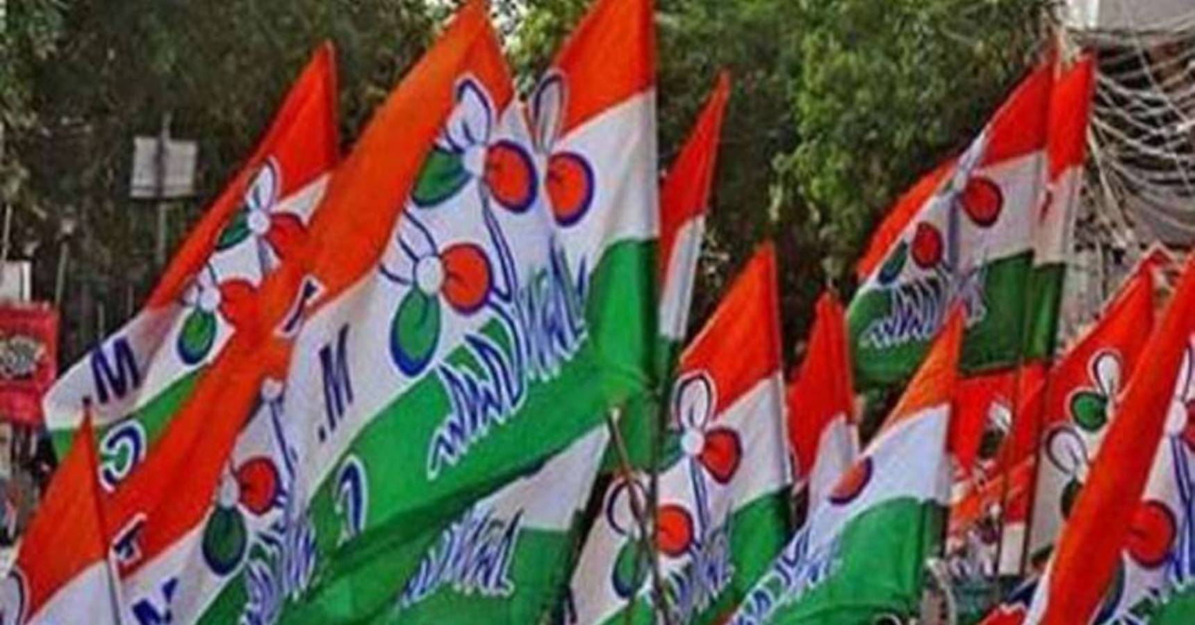 Trinamool Congress tmc flag
