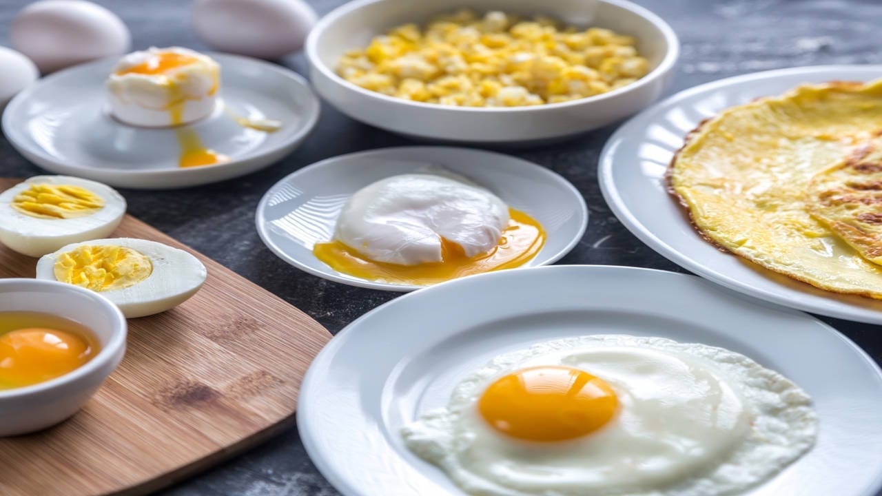Egg