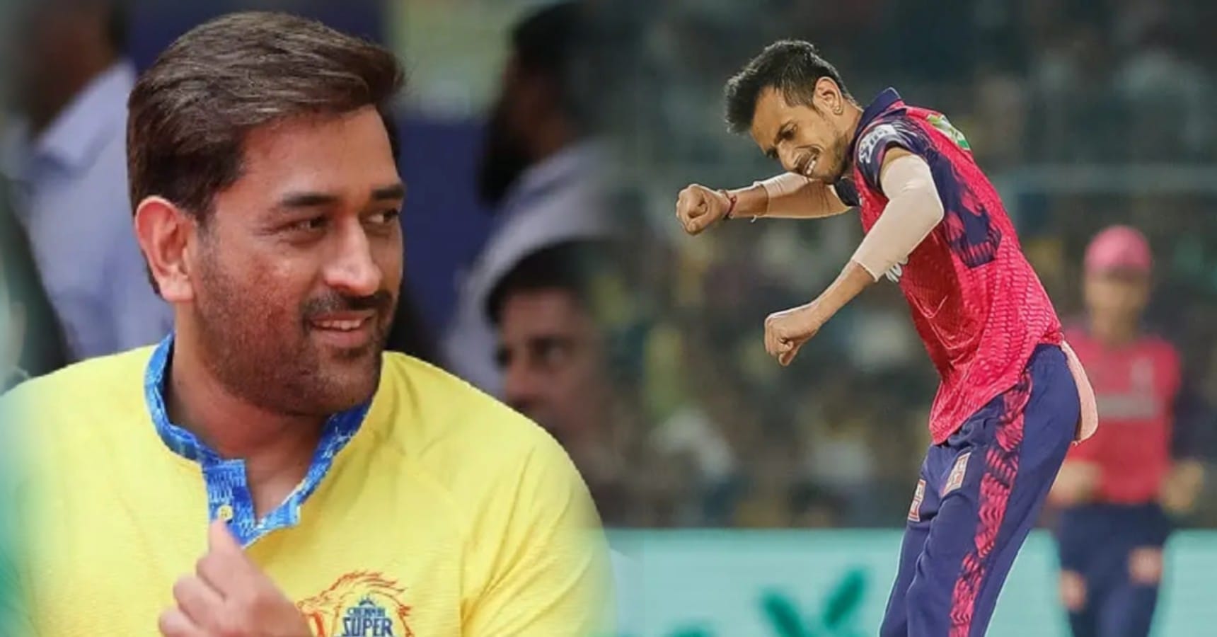 dhoni chahal