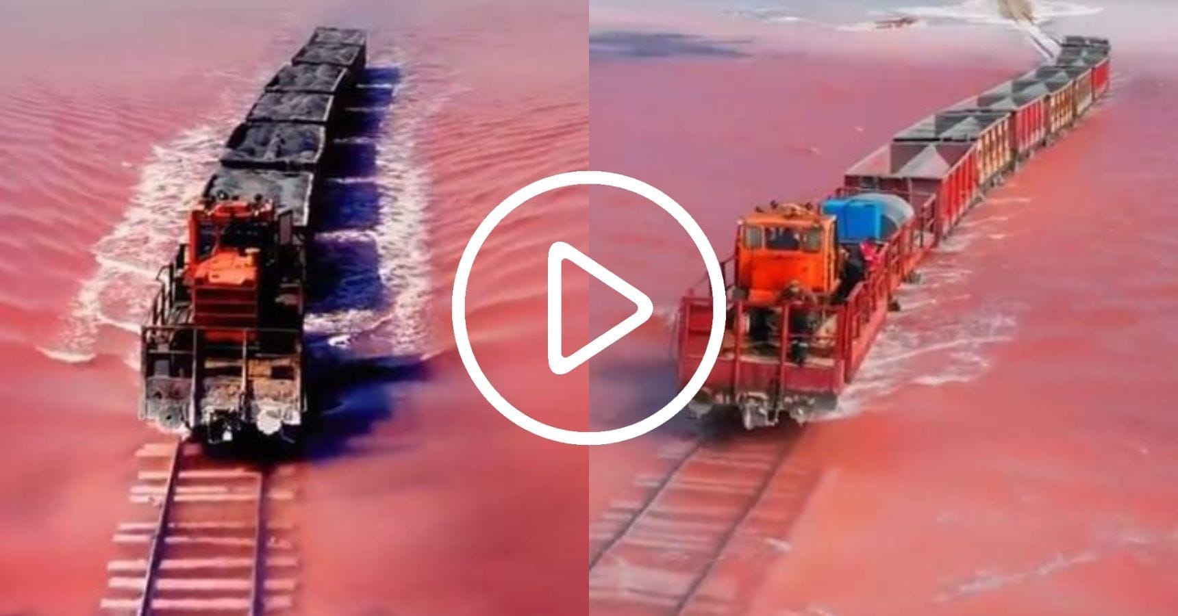 viral lake