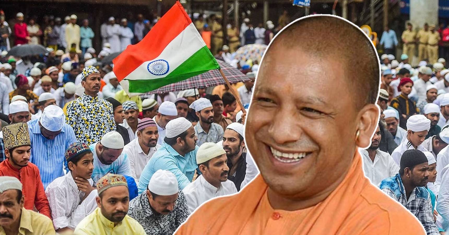 yogi