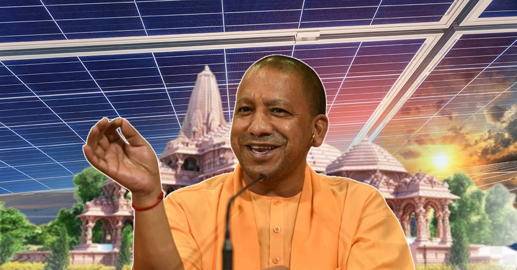 yogi