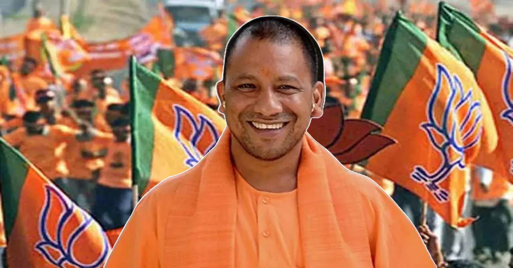 yogi