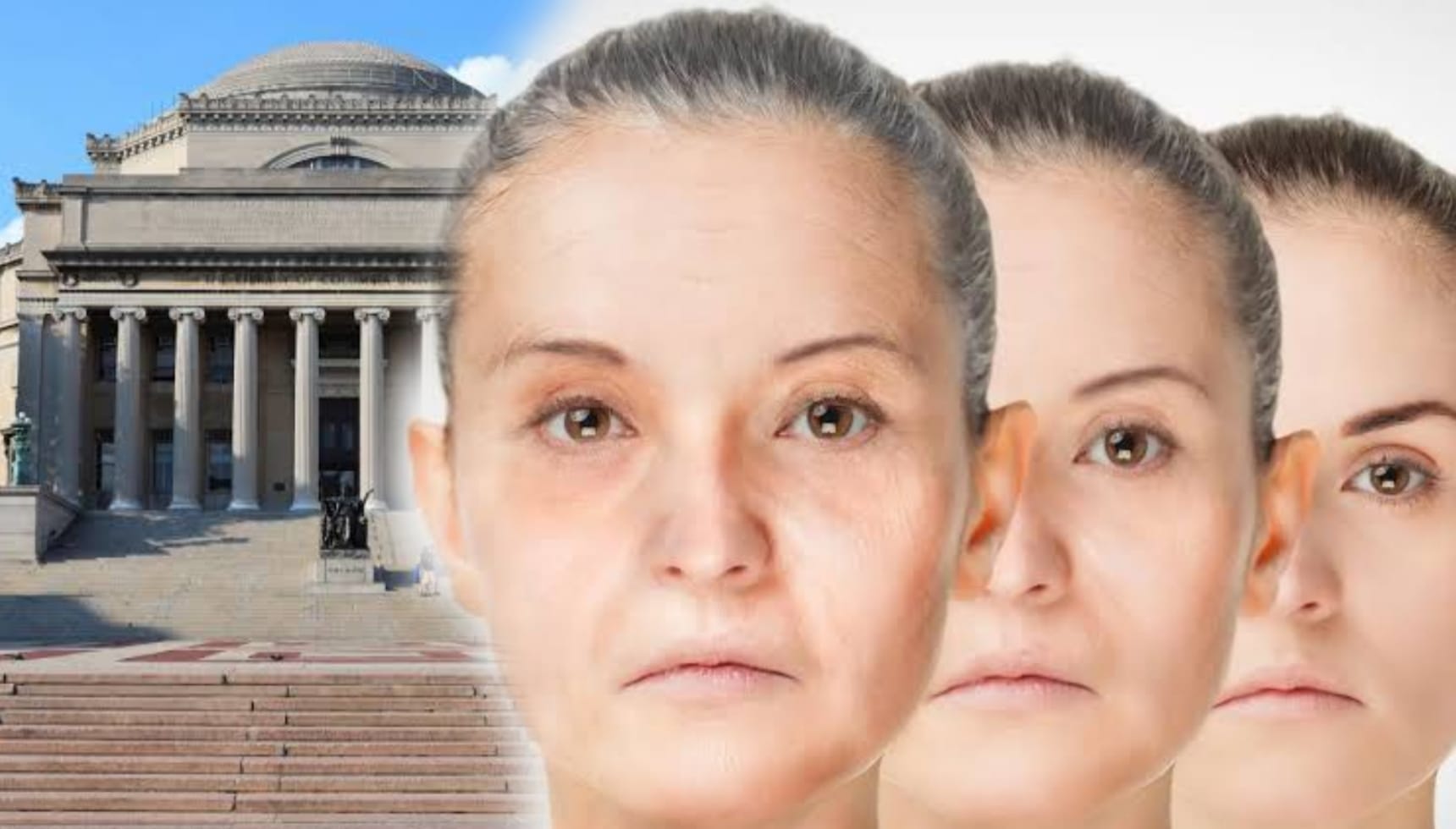 anti aging