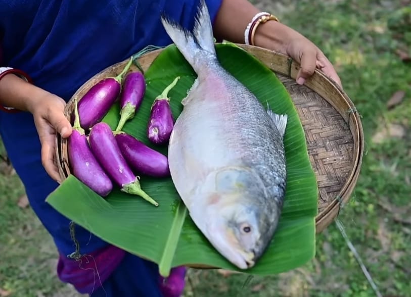 ilish