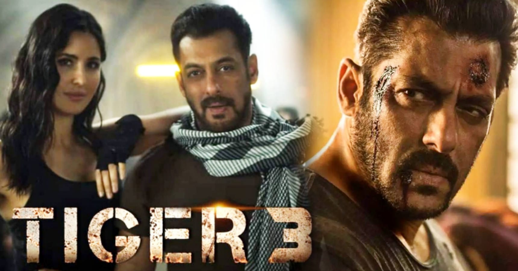 salman khan tiger 3 plot leaked before release