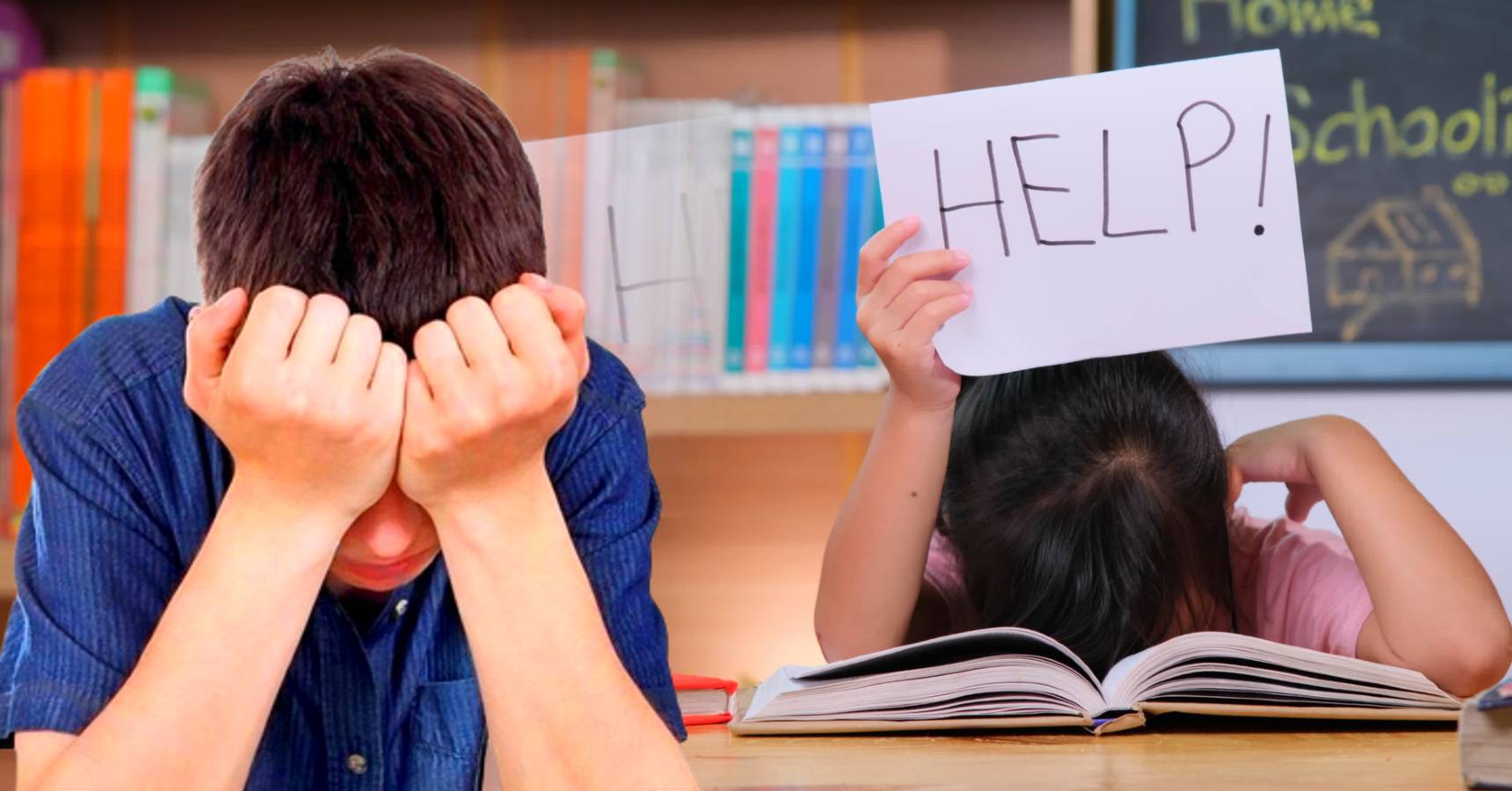 school (1)