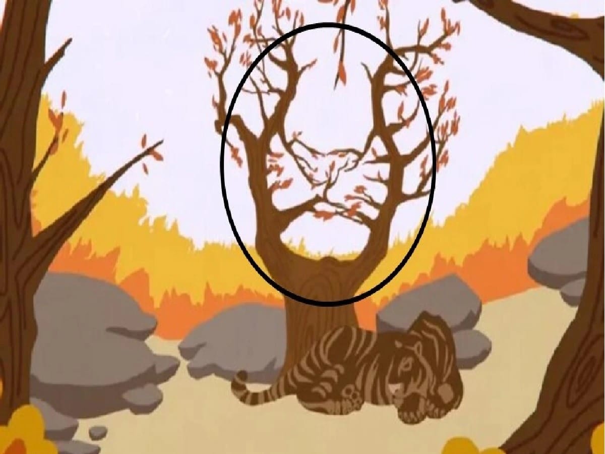  Optical Illusion You are a genius if you find the hidden tiger in this picture