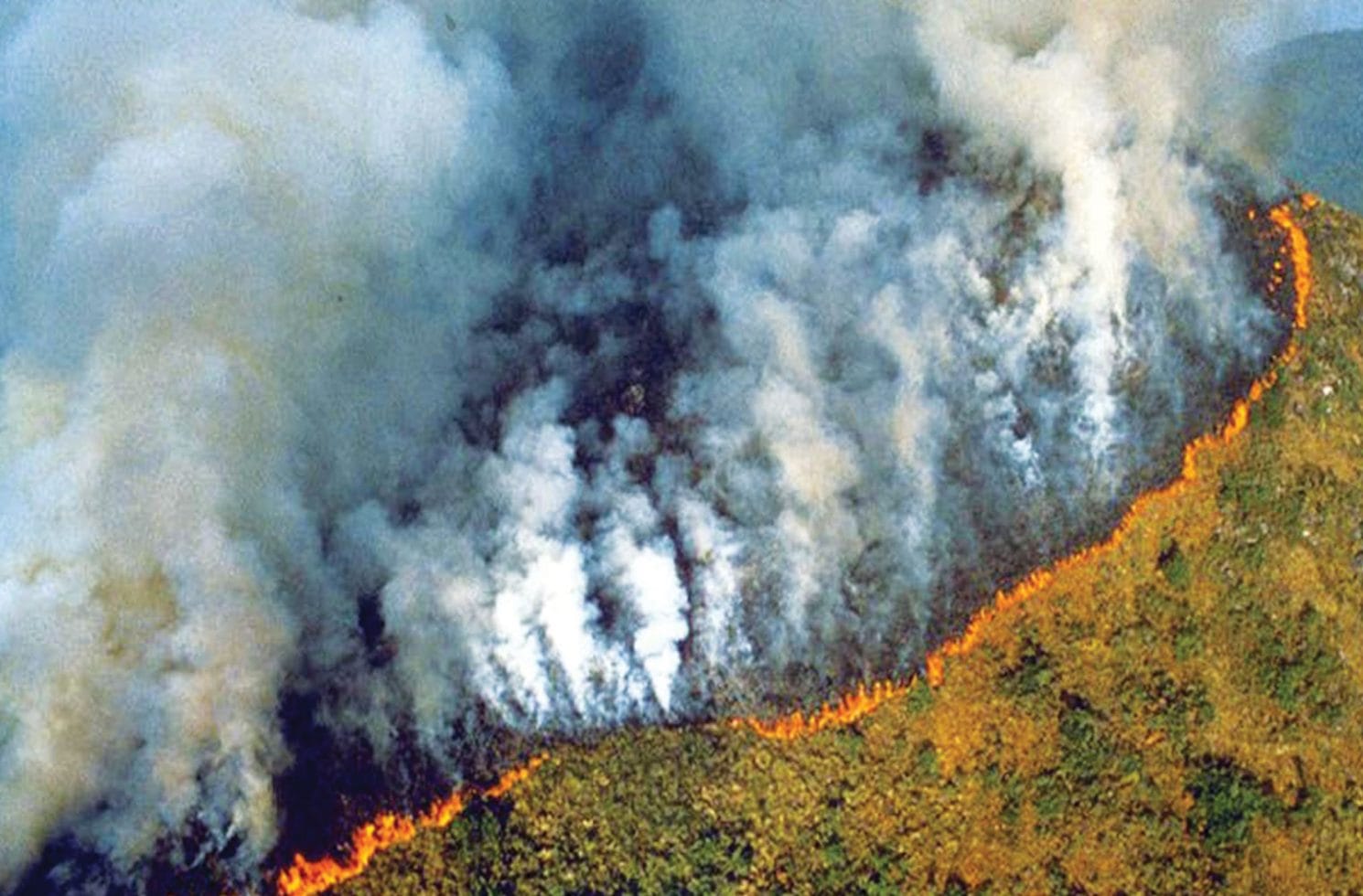 What will happen if the temperature of the earth increases by 2 degrees
