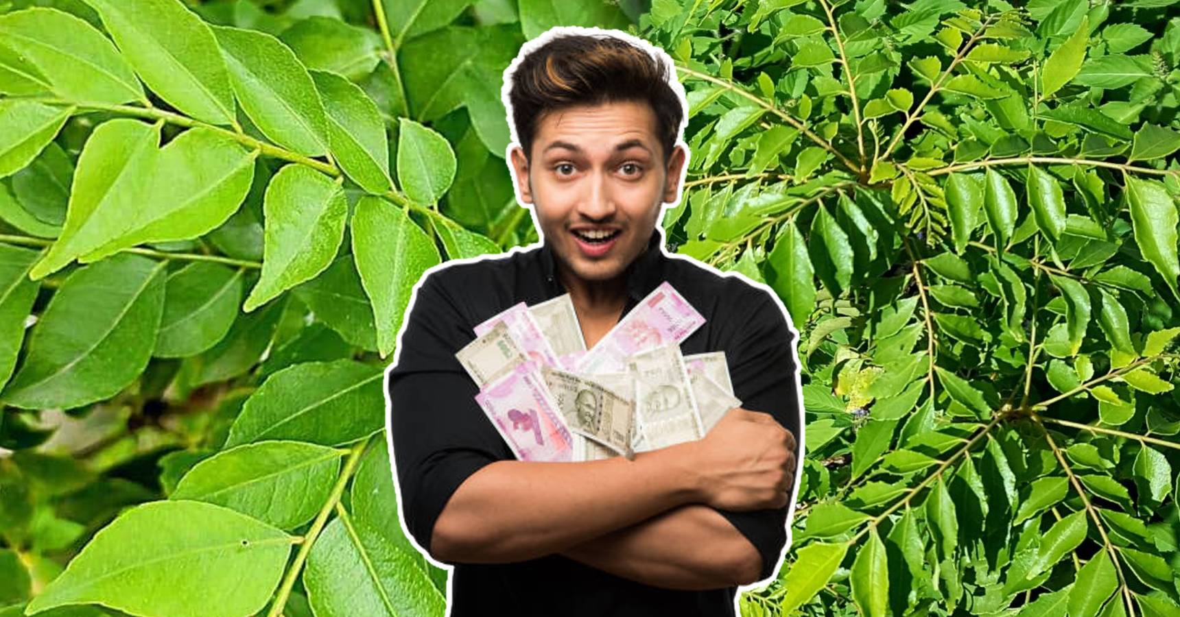 You will become profitable if you start cultivating this tree