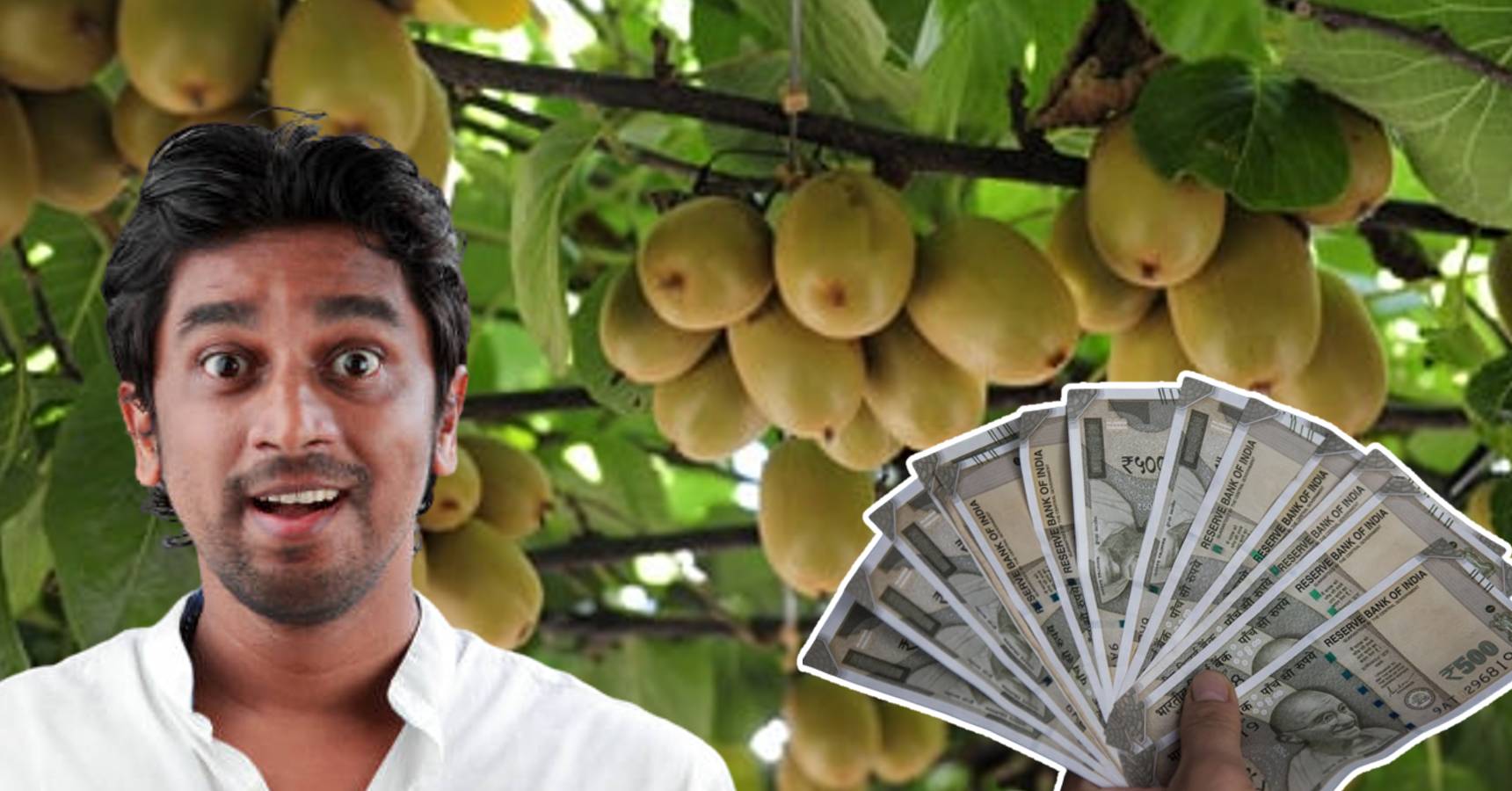 Earn 24 lakh rupees by starting cultivation of this fruit