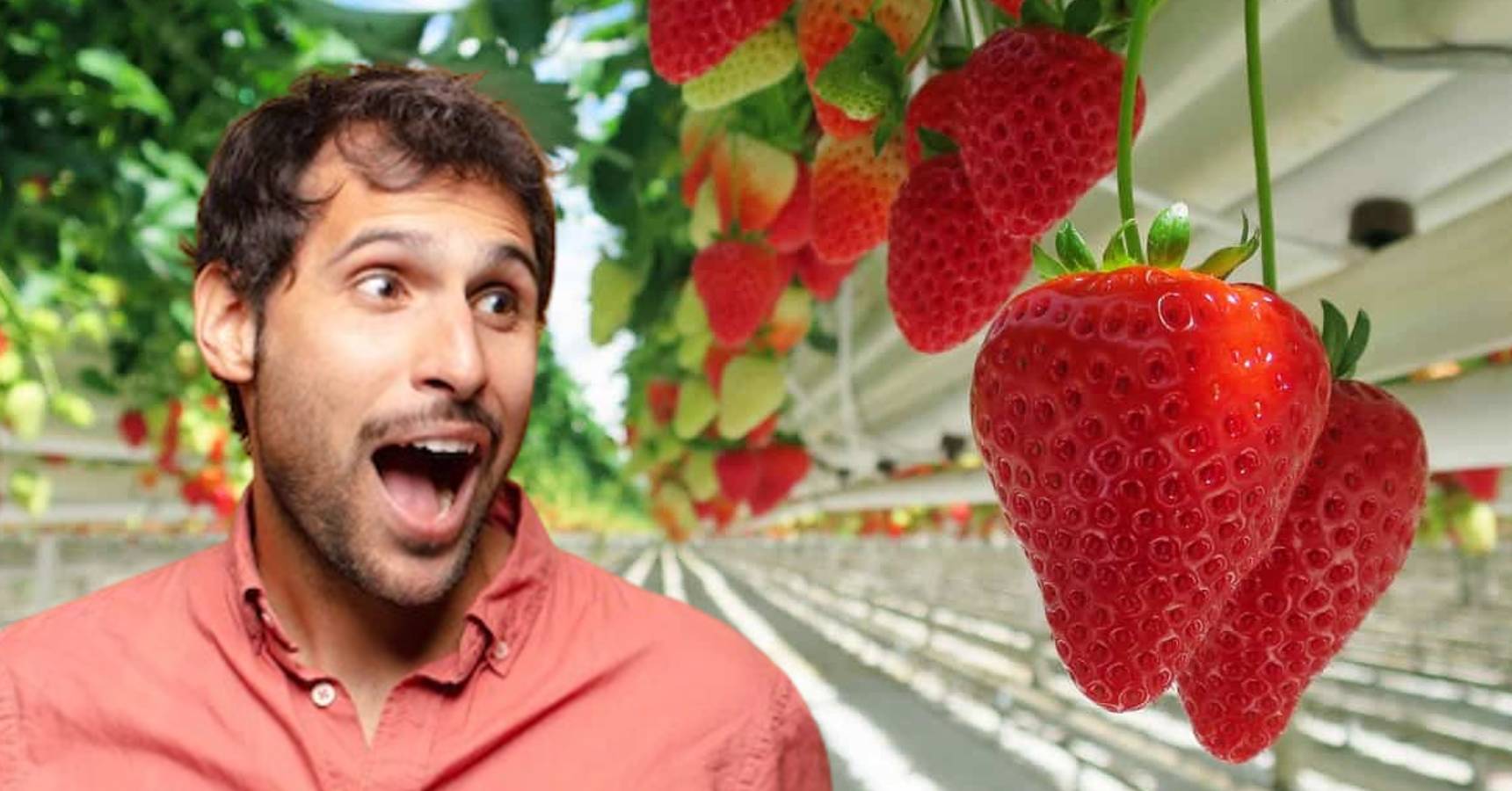 If you start this farming, you will get huge profit