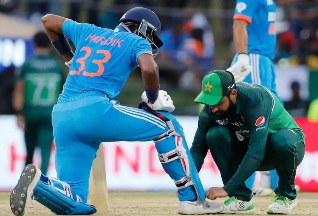 hardik shadab