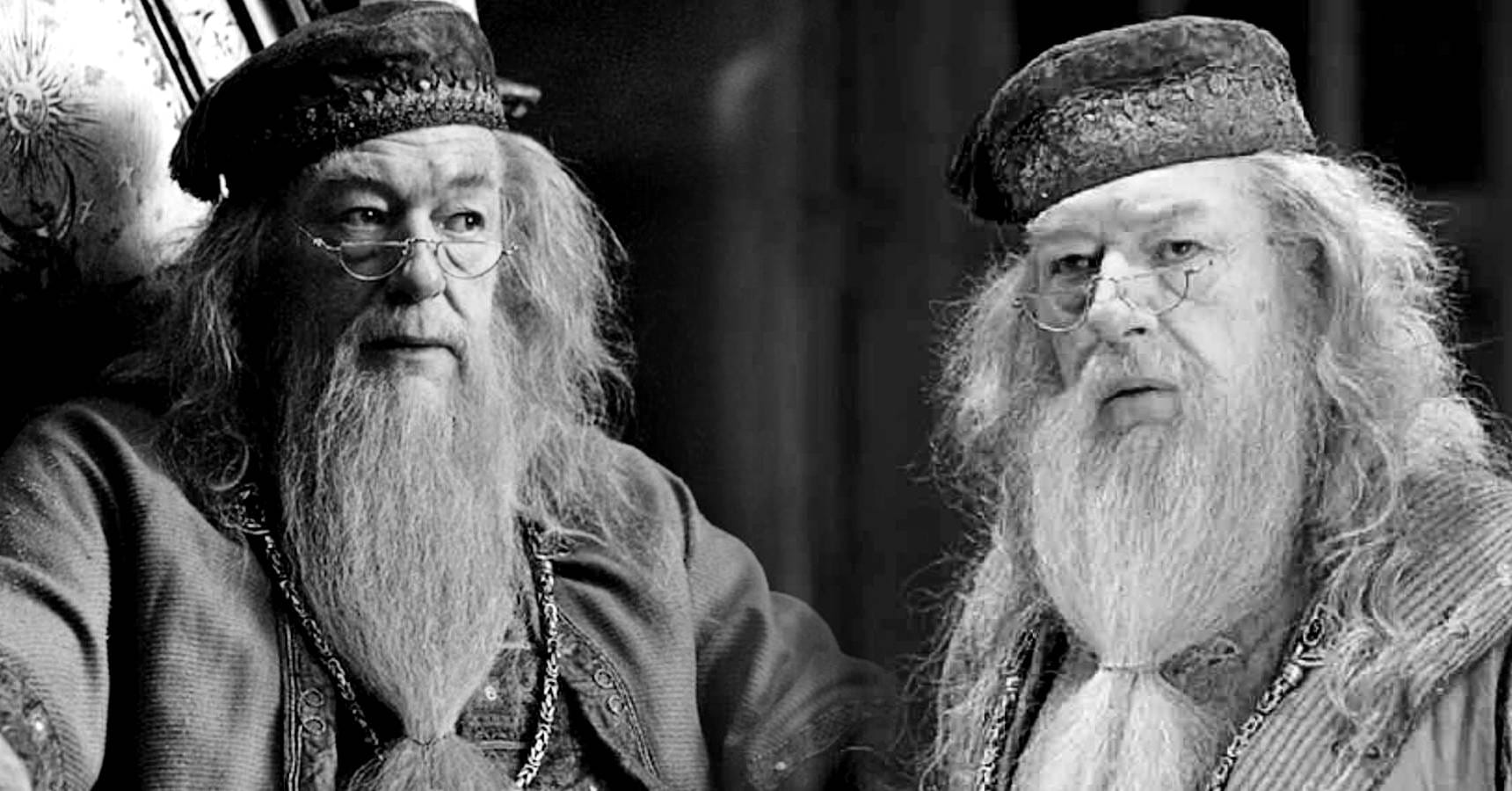 harry potter dumbledore michael gambon (1)