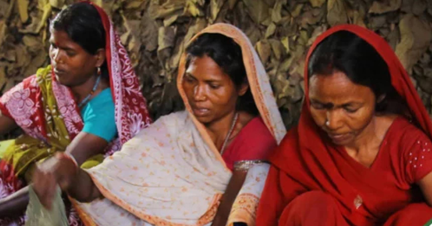 government aid wb