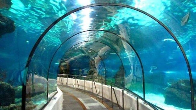 underwater tunnel 647 05251701 1200x768
