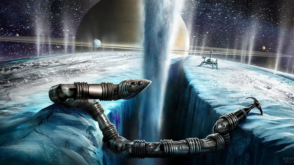 eels illustration enceladus original 644050e4b4483 (1)