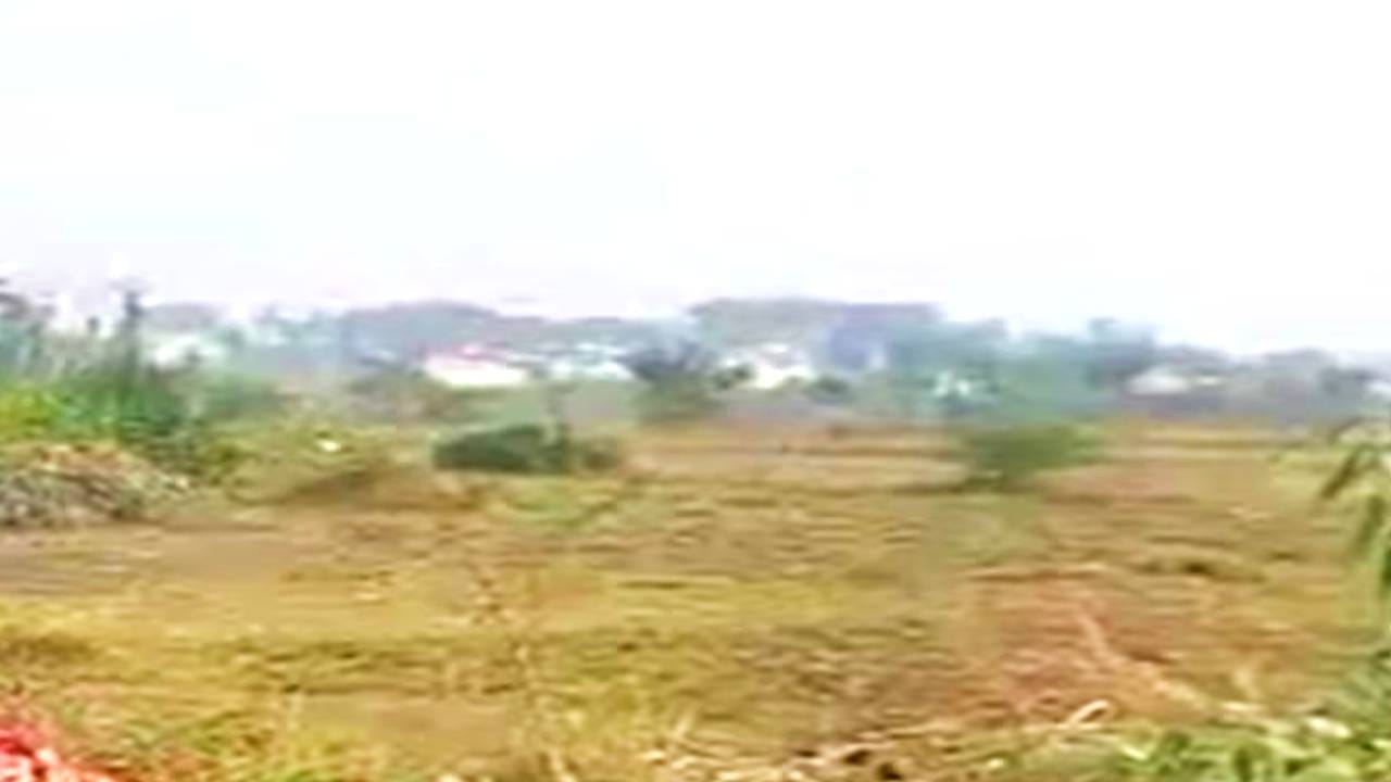 land