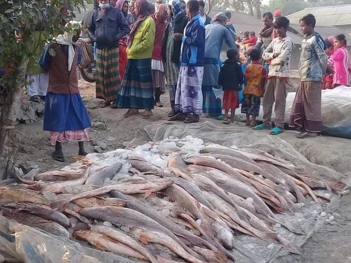 shatkhira fish
