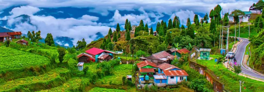 darjeeling lsaubw